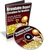 Thumbnail Brandable Report Creation For Newbies