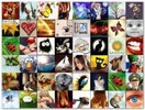 Thumbnail 100 Funny Avatars for Forums & MSN