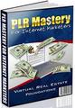 Thumbnail PLR Mastery For Internet Marketers  Virtual Real Estate Foundations - *w/Resell Rights*