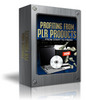 Thumbnail Profiting From PLR Product - From Start To Finish