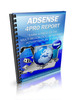 Thumbnail Adsense For Pro PLR E-book + Website + Bonus