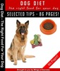 Thumbnail Right Food For Your Dog MRR E-Book + Bonus