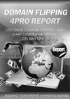 Thumbnail domain flipping report Thumbnail domain flipping report