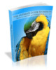 Thumbnail The Ultimate Guide To Parrots