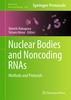 Thumbnail Nuclear Bodies and Noncoding RNAs