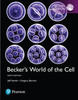 Thumbnail Beckers World of the Cell