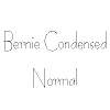 Thumbnail BernieCondensed  Normal