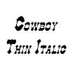 Thumbnail CowboyThin Italic