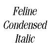 Thumbnail FelineCondensed Italic Thumbnail FelineCondensed Italic