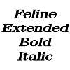 Thumbnail FelineExtended BoldItalic Thumbnail FelineExtended BoldItalic