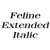 Thumbnail FelineExtended Italic Thumbnail FelineExtended Italic