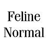 Thumbnail Feline Normal Thumbnail Feline Normal