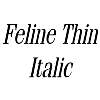 Thumbnail FelineThin Italic