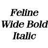Thumbnail FelineWide BoldItalic