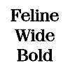 Thumbnail FelineWide Bold