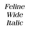Thumbnail FelineWide Italic