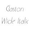 Thumbnail GastonWide Italic
