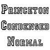 Thumbnail PrincetonCondensed Normal Thumbnail PrincetonCondensed Normal
