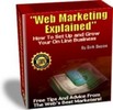 Thumbnail Web Marketing Explained With PLR