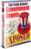 Thumbnail Government Grants With MRR