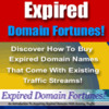 Thumbnail Expired Domain Fortunes