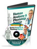 Thumbnail Human Anatomy & Physiology Course (Module 2)