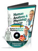 Thumbnail Human Anatomy & Physiology Course (Module 3)