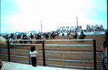 Thumbnail Boy Watches Indian Rodeo AZ Thumbnail Boy Watches Indian Rodeo AZ