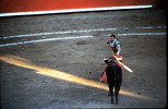 Thumbnail Bullfight Mazatlan Mexico
