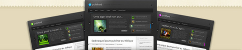 Thumbnail Download Polished WordPress Theme