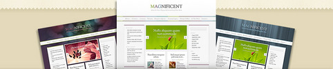 Thumbnail Download Magnificent WordPress Theme
