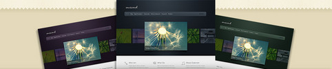 Thumbnail Download Envisioned WordPress Theme
