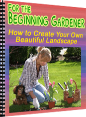 Thumbnail How to Create Your Own Beautiful Landscape Thumbnail How to Create Your Own Beautiful Landscape