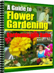Thumbnail A Guide to Flower Gardening: Gardening with Bulbs