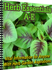 Thumbnail Herb Essentials A-E