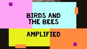 Thumbnail BIRDS AND THE BEES : AMPLFIED