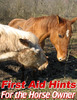 Thumbnail First Aid Hints For the Horse Owner PLR