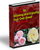 Thumbnail 101 Tips for Growing and Enjoying Your Own Great Rose Garden PLR Thumbnail 101 Tips for Growing and Enjoying Your Own Great Rose Garden PLR