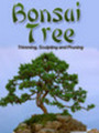 Thumbnail Bonsai Tree PLR