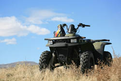 Thumbnail Yamaha Raptor YFM 350 ATV Repair Manual