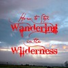 Thumbnail How to Stop Wandering in the Wilderness 