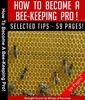 Thumbnail Beekeeping Plr Book