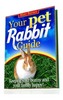 Thumbnail Your Pet Rabbit Guide