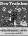 Thumbnail Dog Training Basics