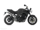 Thumbnail TRIUMPH SPEED TRIPLE 1050 2005+ BIKE REPAIR SERVICE MANUAL