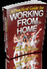 Thumbnail A Practical Guide for Working from Home (PLR)