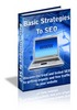 Thumbnail Basic Strategies to SEO (PLR)