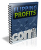 Thumbnail Flipping Profits (PLR) 