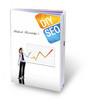 Thumbnail DIY SEO PLR