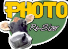 Thumbnail Photo Re-Sizer plr